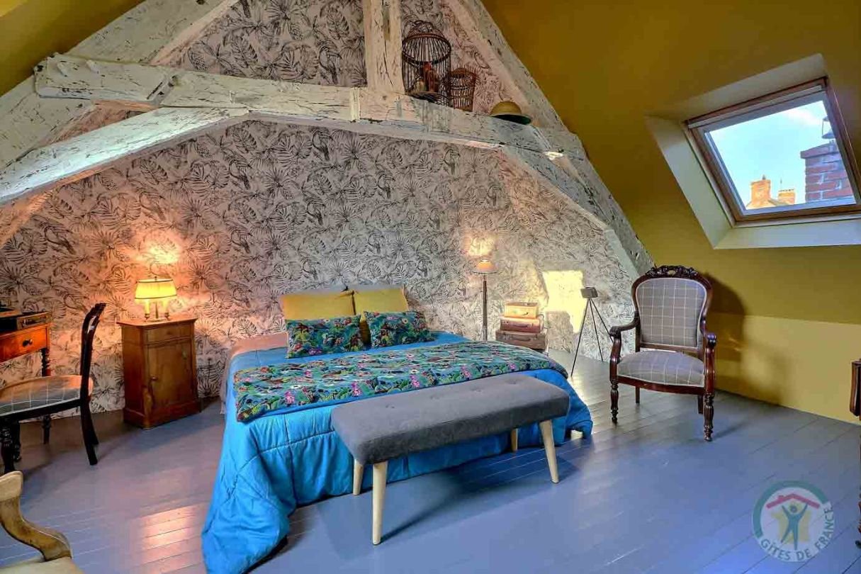 velux chambre Eugène Delacroix - maison de la goutte d'or